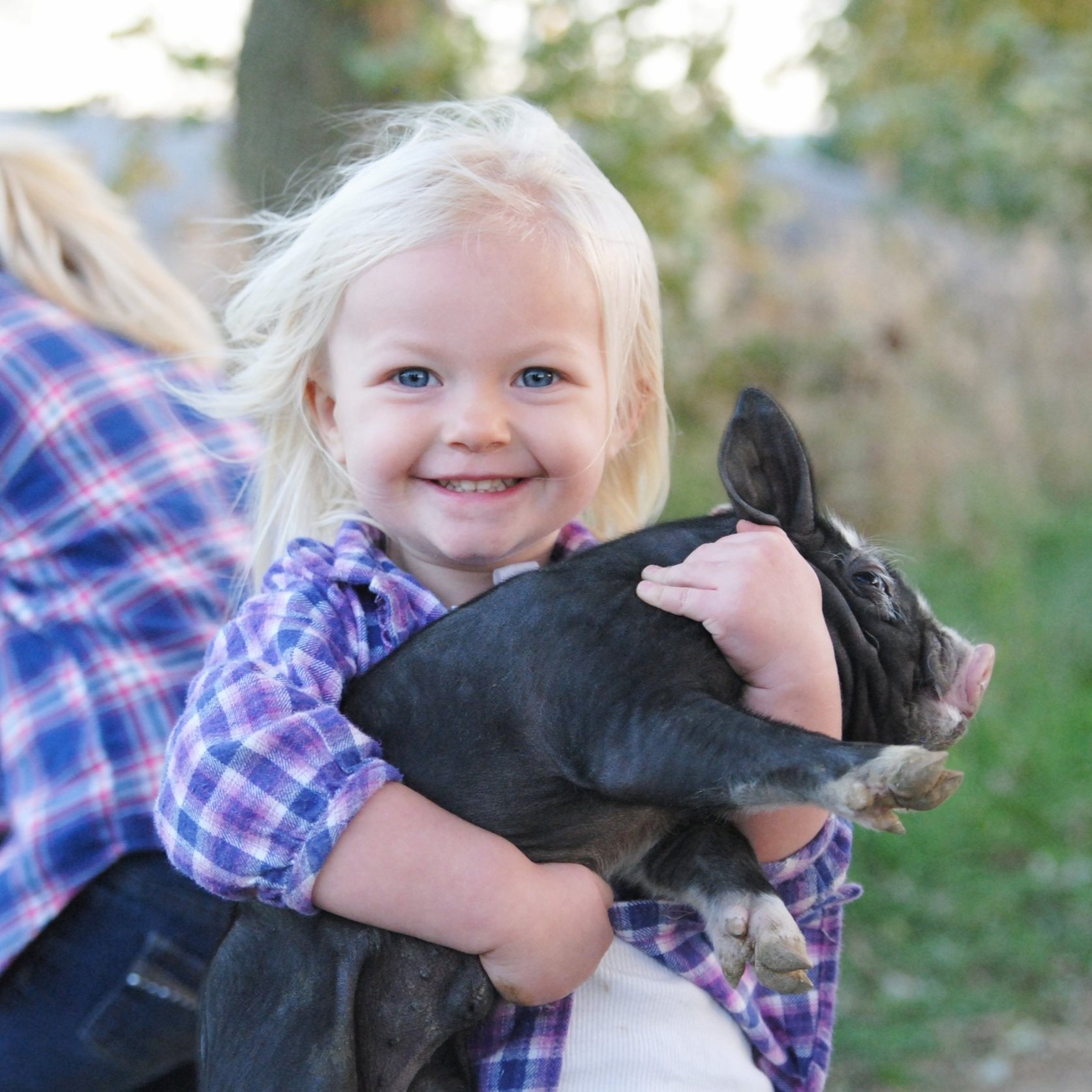 Smiling young girl with blonde hair holding a black piglet, wearing a purple plaid shirt, in a rural outdoor setting.